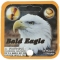 BALD EAGLE - MEGA MARBLES - MEGA MARBLES 24+1 (2009-2013) (FACE)